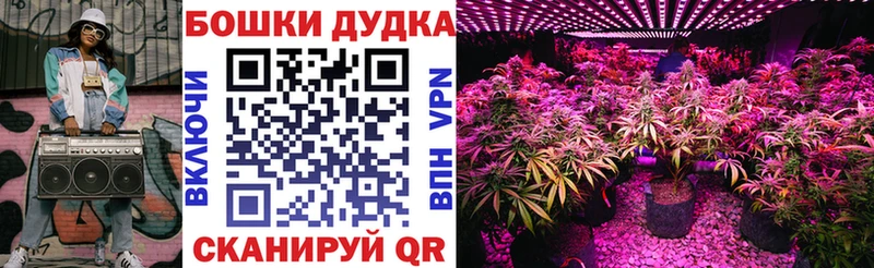 Бошки Шишки планчик цена наркотик Нефтекамск